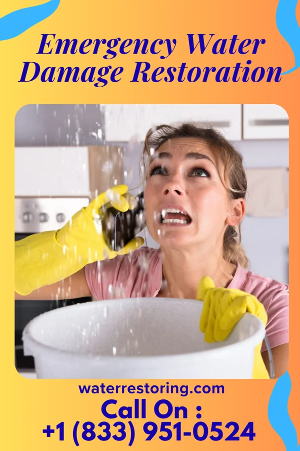 Emergency Water Damage Restoration in Albany, LA